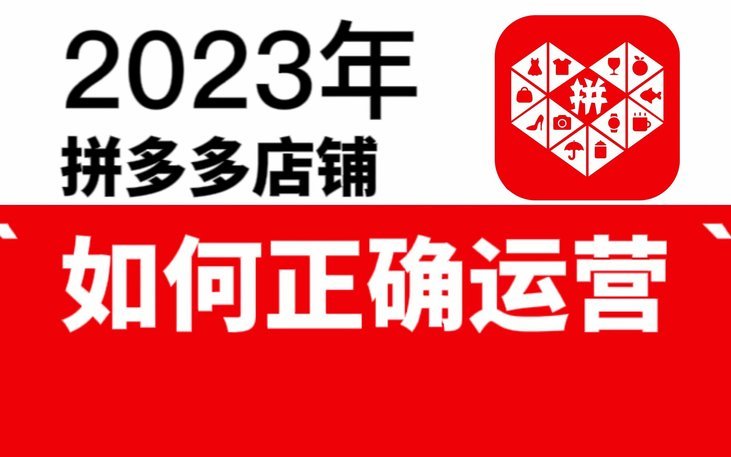 拼多多：数字商业的进化奇迹