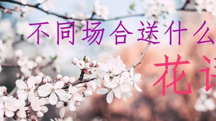 花呗套现的风险揭秘：警惕金融滥用的陷阱