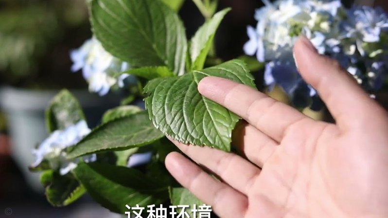 富起来了，为什么还不快乐？