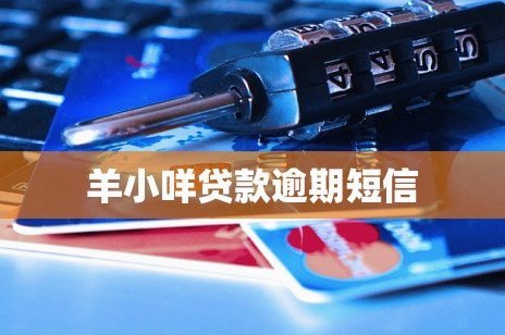 羊小咩贷款：靠谱吗？ 深度解析