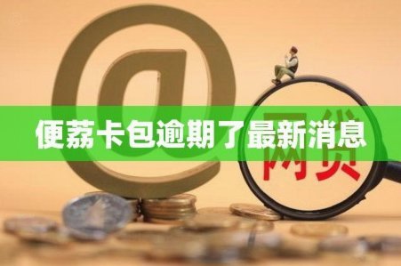 便荔卡包哪里能办？全攻略教你申请渠道和注意事项
