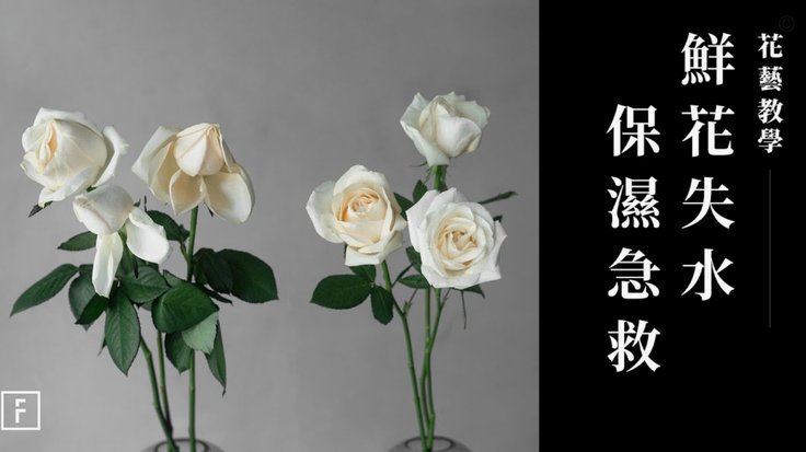 花呗二维码套取风险解析