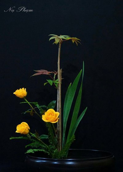 花呗转型：平台现状及未来趋势