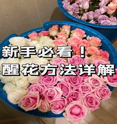 误用花类产品应急处理指南