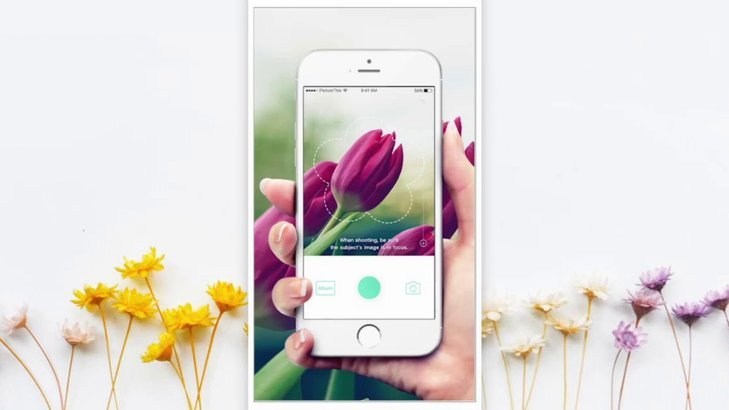 花呗取现App风险大不大？