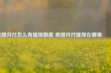 美团上可取现金额度是真的吗