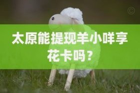 羊小咩额度秘诀：从遗传到营养全解析