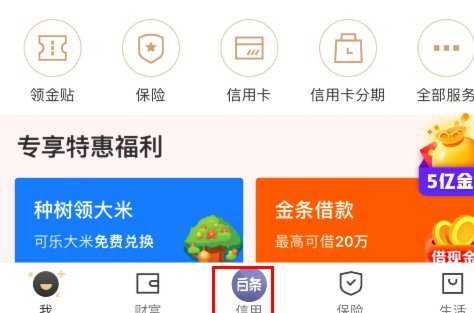 怎么把白条的钱套出来