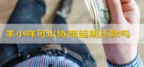羊小咩贷款提现深度解析：从流程到高效避坑的专业指南