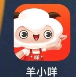 羊小咩的法律之路：从街头美食到合法经营