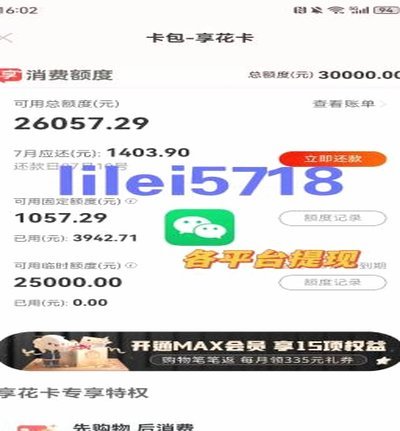 羊小咩消费额度可以