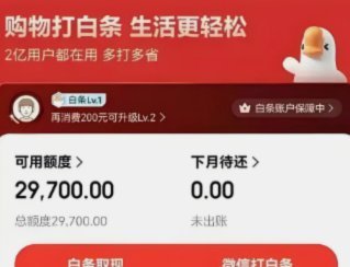 白条付费额度怎么套出来的