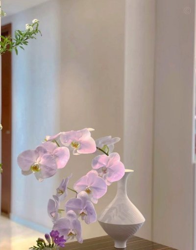 花呗秒提现