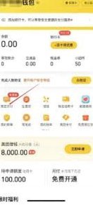 美团月付取现服务费