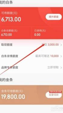 白条取现额度是什么