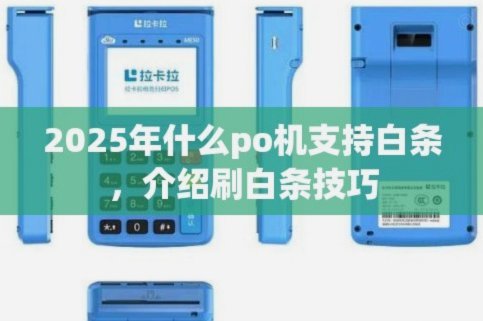 支持白条付款的平台是哪个