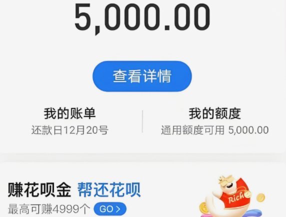 没有商家码花呗怎么提现