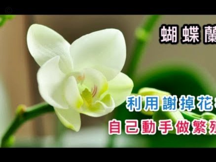 套现花呗有手续费吗