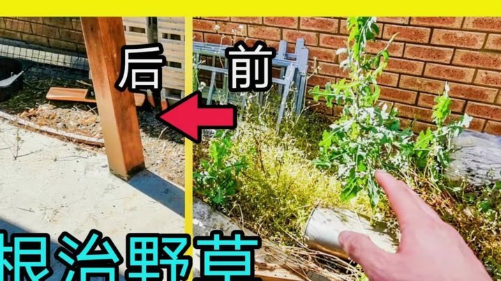 得物月付提现：信用额度影响解析