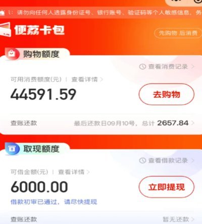 便荔卡包提现一天未到账怎么办