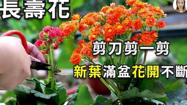 套现回收商家如何被严惩？