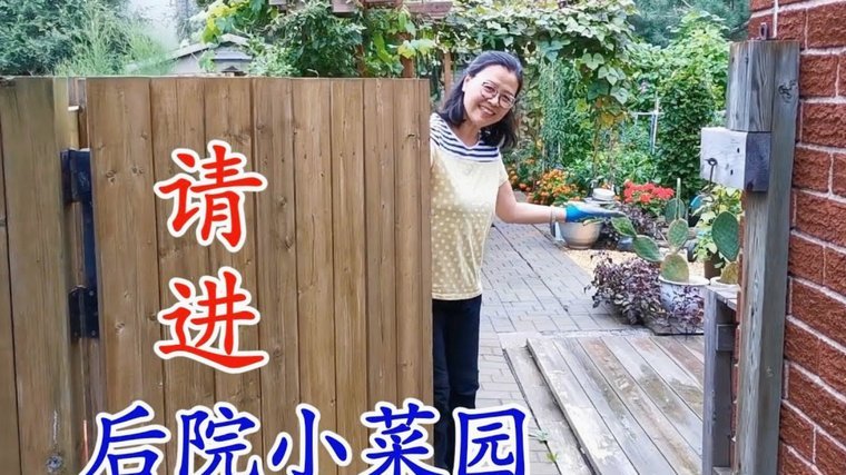 拿去花套现回收商家 怎么处罚