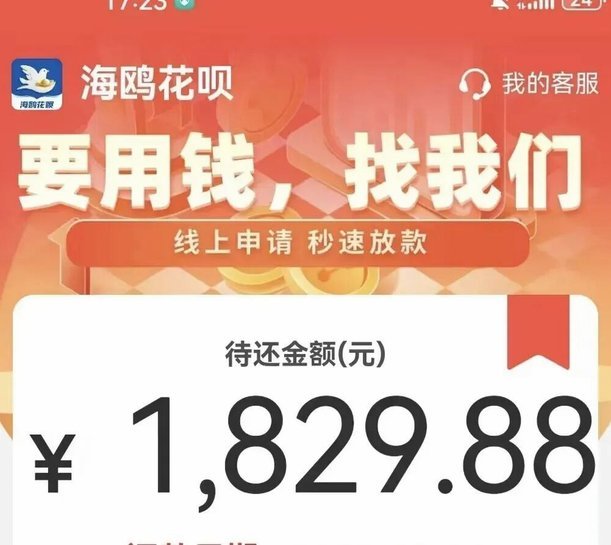 海鸥花呗平台客服电话