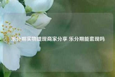 分期乐实物套现秒到