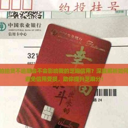 拍拍贷上面怎么借钱