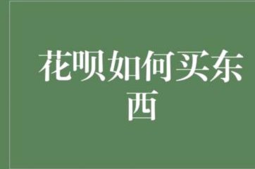 花呗“套现”：风险与后果