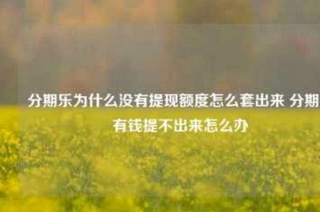 分期乐额度为何总是无法借出？